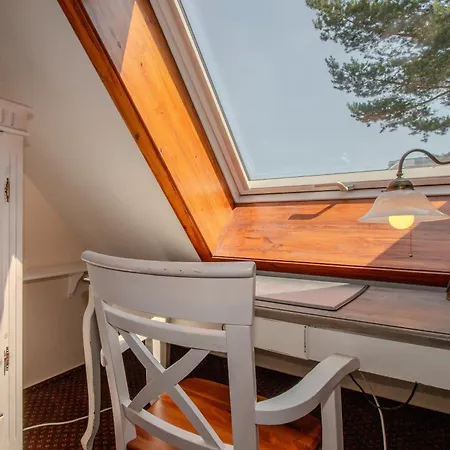 Ringelblume דירה בינץ