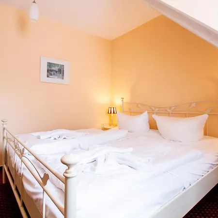 Ringelblume בינץ