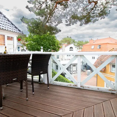 Ringelblume * בינץ